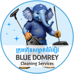 Blue Domrey Cleaning